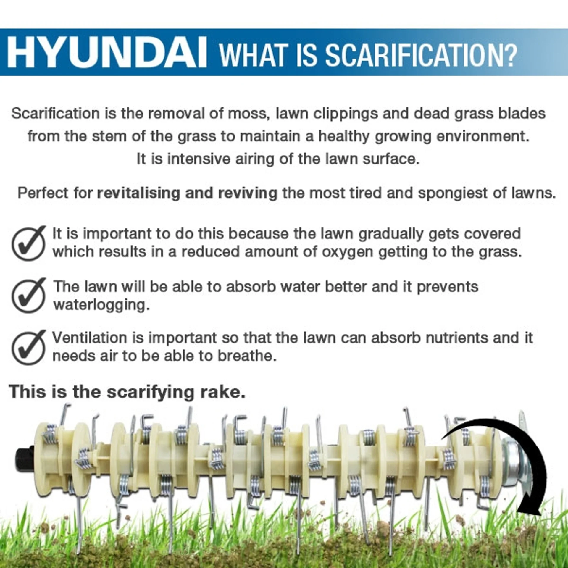 Hyundai Petrol Lawn Scarifier & Aerator 2-in-1 – 212cc Engine, 400mm Width, 45L Catcher. (HYSC210) - Image 18